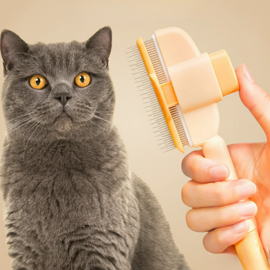 Brosse anti-poils pour Chat