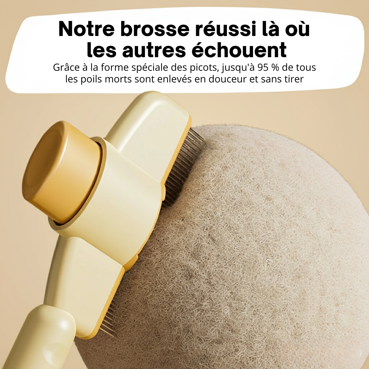 Brosse anti-poils pour Chat