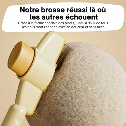 Brosse anti-poils pour Chat