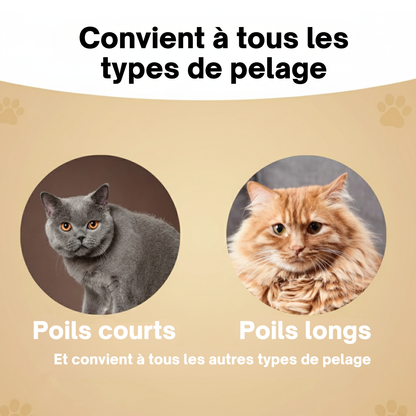 Brosse anti-poils pour Chat
