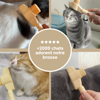 Brosse anti-poils pour Chat
