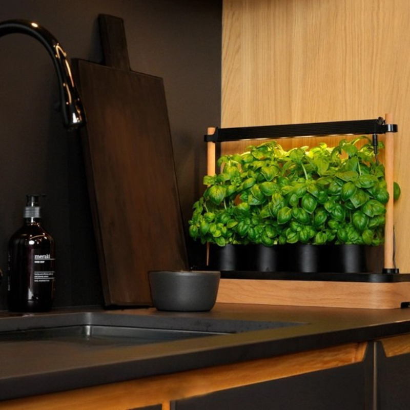 Mini Jardin Hydroponique