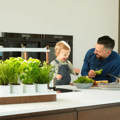 Mini Jardin Hydroponique