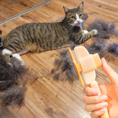 Brosse anti-poils pour Chat
