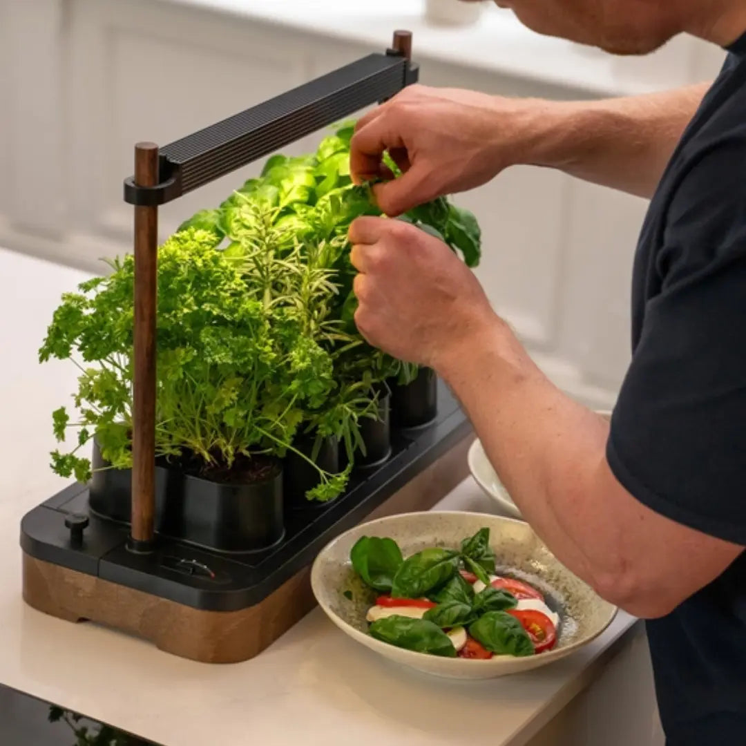 Mini Jardin Hydroponique