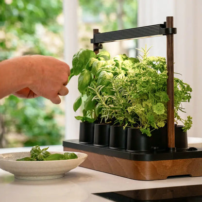 Mini Jardin Hydroponique