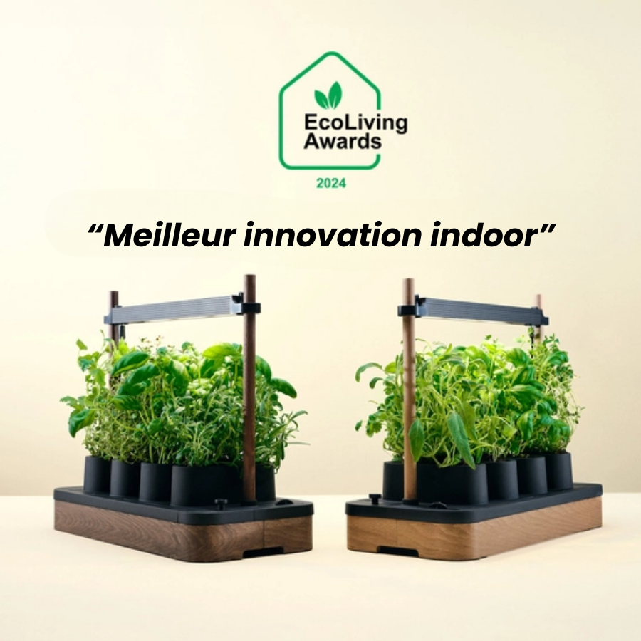 Mini Jardin Hydroponique