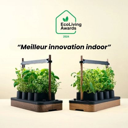 Mini Jardin Hydroponique