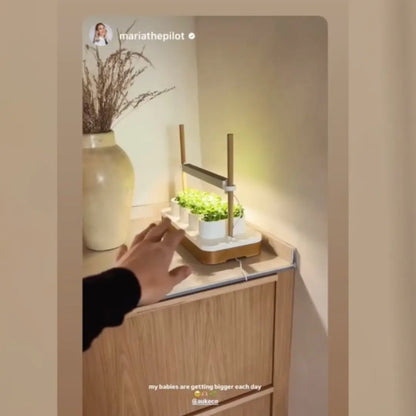 Mini Jardin Hydroponique