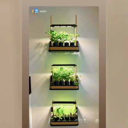 Mini Jardin Hydroponique